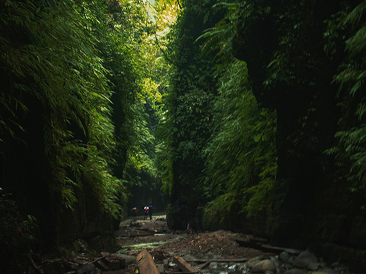 Andharmanik - Narissha Jhiri